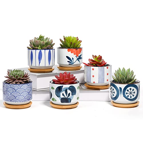 T4U 3 Inch Succulent Pots Japanese Style Collection with Bamboo Sau...