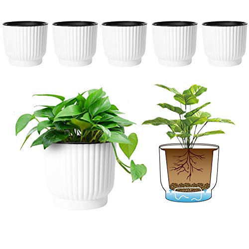 T4U 6 Inch Self Watering Pots for Indoor Plants, 6 Pack White Plast...