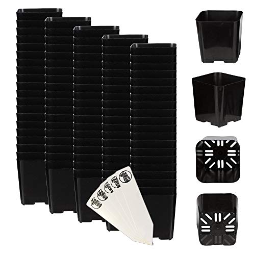 The Hydroponic City 2 Inch Black Square Nursery Pots for Starting S...