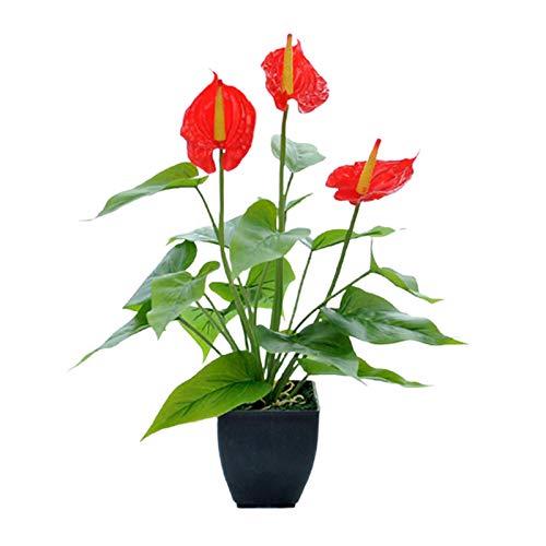 TITA-DONG 14in Anthurium Artificial Flowers with Black Pot, Calla L...