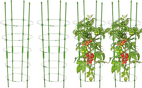 Tomato Cage for Pots 36 inch 4 Pack Garden Plant Support Tomatoes T...