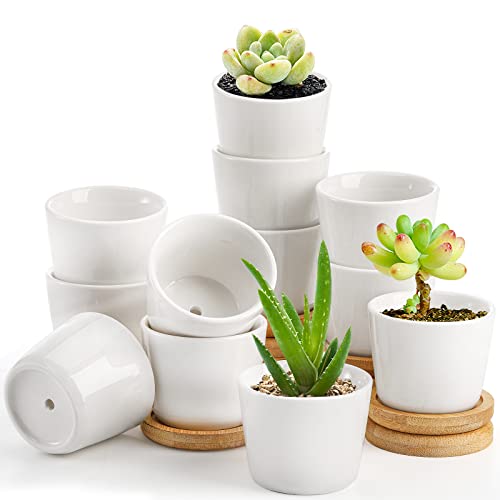 Tosnail 12 Pack 2.5 Inch Small Succulent Pots with 12 Bamboo Trays,...