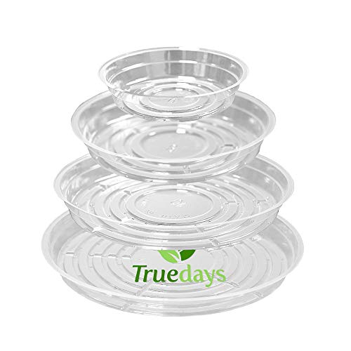 TRUEDAYS 20 Pack Plant Saucers (6 inch   8inch   10inch   12inch) C...