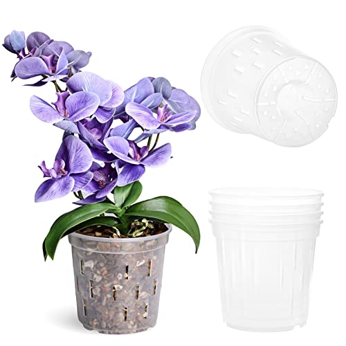 TRUEDAYS Clear Orchid Pot (4-Pack) - 6 inch Orchid Pots with Holes ...