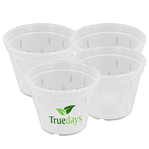 TRUEDAYS Clear Orchid Pots with Holes Plastic Flower Planter 5.5 in...