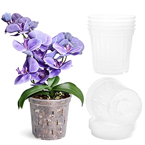 TRUEDAYS Orchid Pot with Saucers (6 Inch 4-Pack), Clear Orchid Pots...