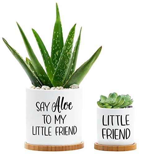 Tuitessine Say Aloe to My Little Friend Planter Plant Lover Set of ...