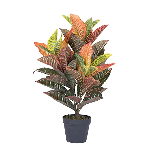 Vickerman 30  Real Touch Croton Plant in Pot - Artificial Plants fo...