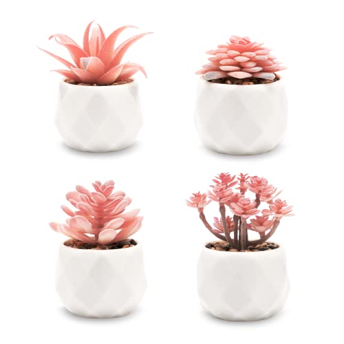 VIVERIE Mini Succulents Plants Artificial in Pots-Rose Pink, Small ...