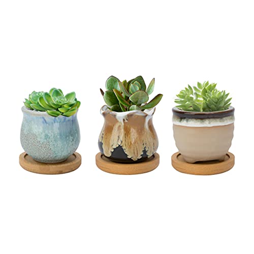 Warmplus Small Succulent Plant Pots - Mini Ceramic Cactus Planter P...