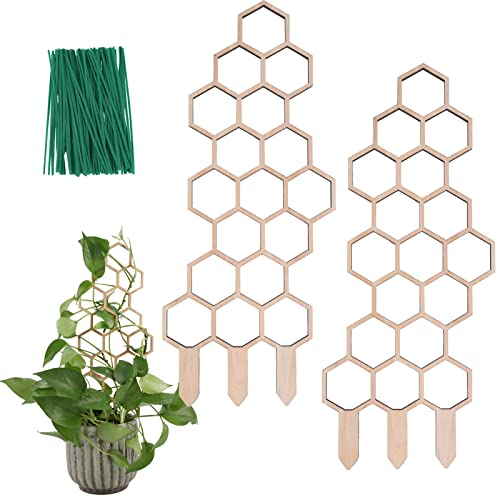 WellSign Small Wooden Trellis for Potted Plants, 16 inch Plant Trel...