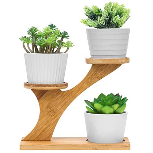 Whonline 3pcs Small Succulent Pots, White Ceramic Plant Pots with 3...