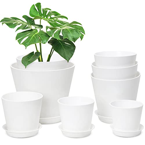 Whonline 8 Pack Plastic Plant Pots，8 7 6.5 6 5.5 5 4.5 4 Inch Flo...