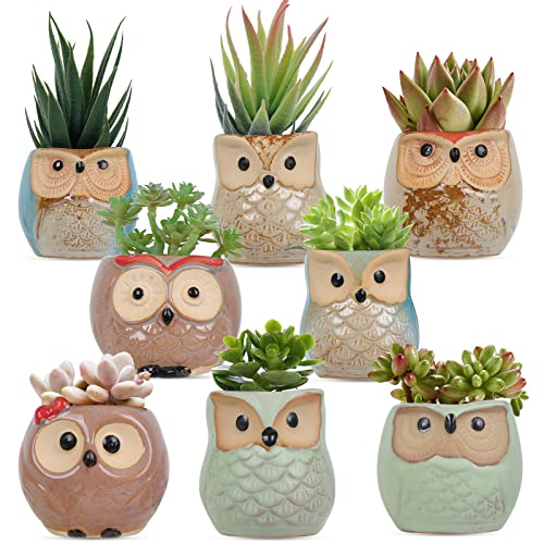 Whonline Owl Succulent Pots, 8pcs, 2.5 Inches, Ceramic Succulent Pl...