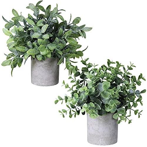 Winlyn Set of 2 Faux Mini Potted Plants Artificial Eucalyptus Boxwo...