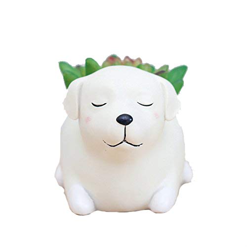 WISH HALLY WOOD Labrador Dog Succulent Planter Pots for Office Hous...