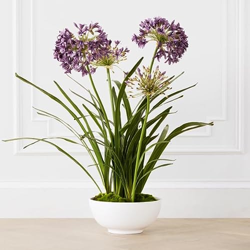 Z Gallerie Artificial Exotic Fake Purple Agapanthus Amethyst Plant ...