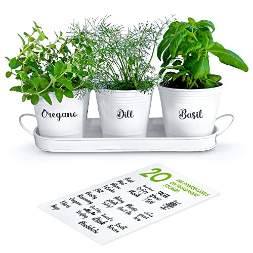 ZESTIGREENS Herb Pot Planter Set with Tray for Indoor Garden or Out...