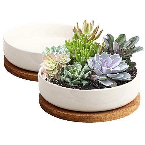 ZOUTOG Succulent Pots, 6 inch White Ceramic Flower Planter Pot with...