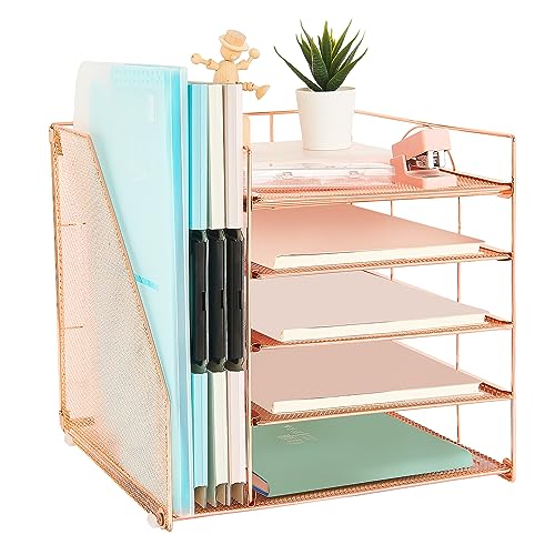 AUPSEN Desk Organizer with File Holder, 5 Trays Paper Letter Tray O...