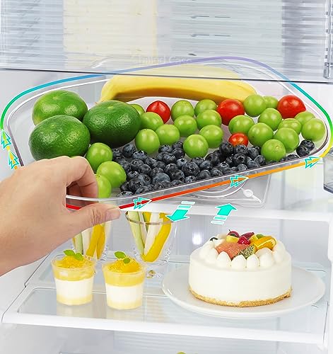 Lazy Susan Turntable Organizer for Refrigerator Rectangle Clear Rot...