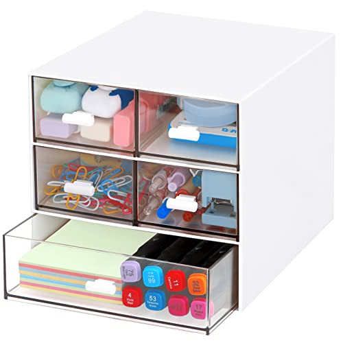 LETURE Desk Organizer with 5 Drawers, Rectangular Office Stationery...