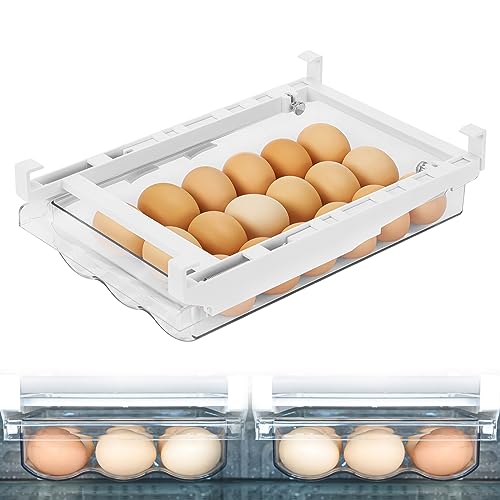 Moretoes Egg Holder for Refrigerator, Fridge Organization, Egg Cont...