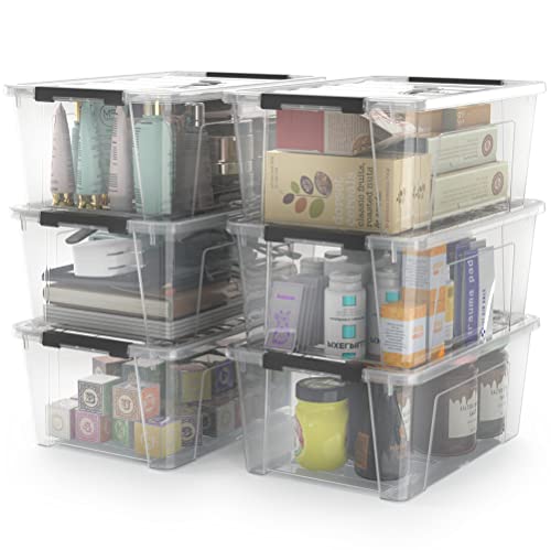 WYT Clear Storage Latch Bins, 6-Pack Storage Organizer Box with Han...