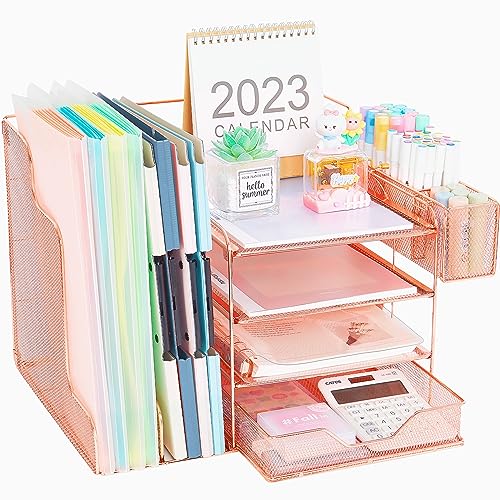 Youbetia Desk Organizers and Accessories, Office Organization with ...