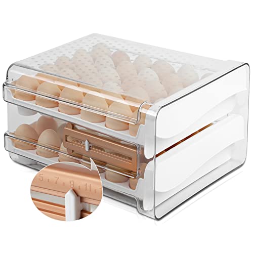 Egg Holder with Time Scale for Refrigerator, 60 Grid Large Capacity...